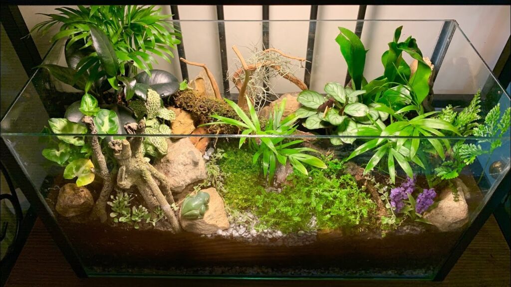 Terrarium Aquarium